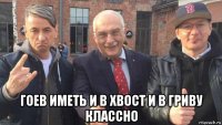  гоев иметь и в хвост и в гриву классно