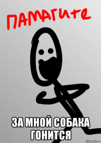  за мной собака гонится