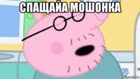 спащайа мошонка 