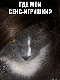 где мои секс-игрушки? 