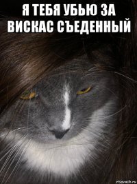 я тебя убью за вискас съеденный 