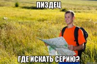пиздец где искать серию?