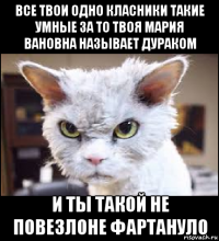 все твои одно класники такие умные за то твоя мария вановна называет дураком и ты такой не повезлоне фартануло