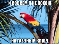 и совсем я не похож на гаечный ключ