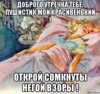 доброго утречка тебе, пушистик мой красивенький ! открой сомкнуты негой взоры !