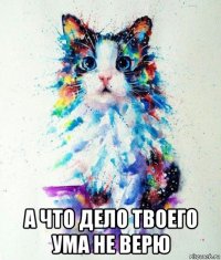  а что дело твоего ума не верю