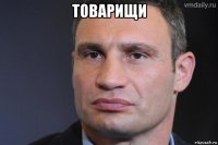 товарищи 