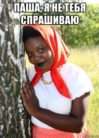 паша, я не тебя спрашиваю 