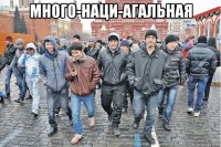 много-наци-агальная 