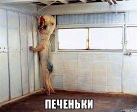  печеньки
