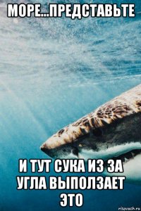 море...представьте и тут сука из за угла выползает это