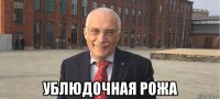  ублюдочная рожа