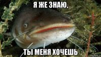я же знаю, ты меня хочешь