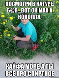 посмотри в натуре, б@я...вот он мак и конопля. кайфа море, а ты всё про спиртное