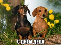  с днём деда