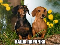  наша парочка