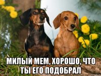  милый мем, хорошо, что ты его подобрал
