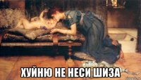  хуйню не неси шиза