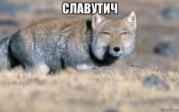 славутич 