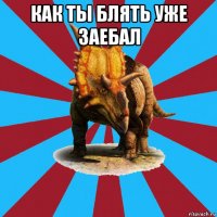 как ты блять уже заебал 