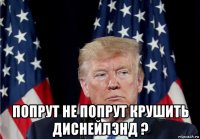  попрут не попрут крушить диснейлэнд ?