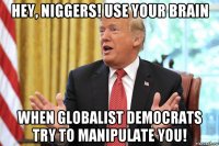 hey, niggers! use your brain when globalist democrats try to manipulate you!