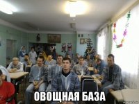  овощная база