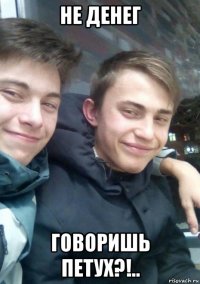 не денег говоришь петух?!..