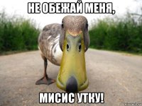 не обежай меня, мисис утку!