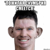 *пожилая скумбрия смеется* 