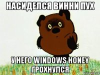 насиделся винни пух у него windows honey грохнулся