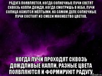 радуга появляется, когда солнечные лучи светят сквозь капли дождя. когда смотришь в небо, лучи солнца кажутся жёлтыми. на самом деле солнечные лучи состоят из смеси множество цветов. когда лучи проходят сквозь дождливые капли, разные цвета появляются и формируют радугу.
