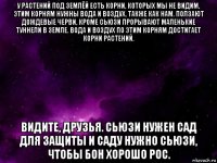 у растений под землёй есть корни, которых мы не видим, этим корням нужны вода и воздух, также как нам. ползают дождевые черви, кроме сьюзи прорывают маленькие туннели в земле. вода и воздух по этим корням достигает корни растений. видите, друзья. сьюзи нужен сад для защиты и саду нужно сьюзи, чтобы бон хорошо рос.