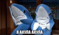  я акула акула