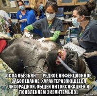  оспа обезьян — редкое инфекционное заболевание, характеризующееся лихорадкой, общей интоксикацией и появлением экзантемы[3].