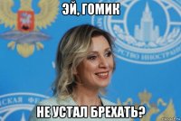 эй, гомик не устал брехать?