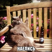  наелись