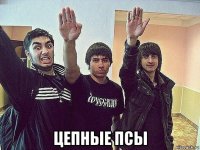  цепные псы