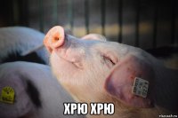  хрю хрю