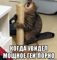  когда увидел мощное гей-порно