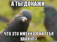 а ты докажи, что это именно я на тебя какнул?