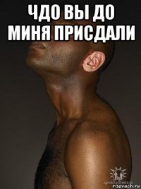 чдо вы до миня присдали 