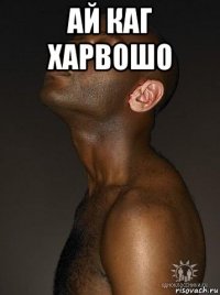 ай каг харвошо 