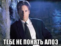  тебе не понять алоэ
