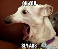 oh you sly ass