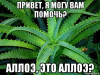 привет, я могу вам помочь? аллоэ, это аллоэ?