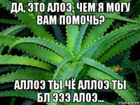 да, это алоэ, чем я могу вам помочь? аллоэ ты чё аллоэ ты бл эээ алоэ...