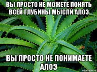 вы просто не можете понять всей глубины мысли алоэ вы просто не понимаете алоэ