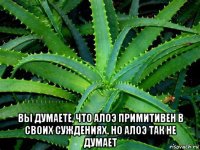  вы думаете, что алоэ примитивен в своих суждениях. но алоэ так не думает