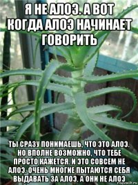 я не алоэ. а вот когда алоэ начинает говорить ты сразу понимаешь, что это алоэ. но вполне возможно, что тебе просто кажется. и это совсем не алоэ. очень многие пытаются себя выдавать за алоэ. а они не алоэ